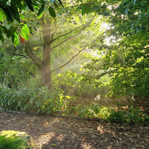 June Exclusive Evening Access @ Fullers Mill