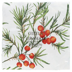 Napkins - Spruce