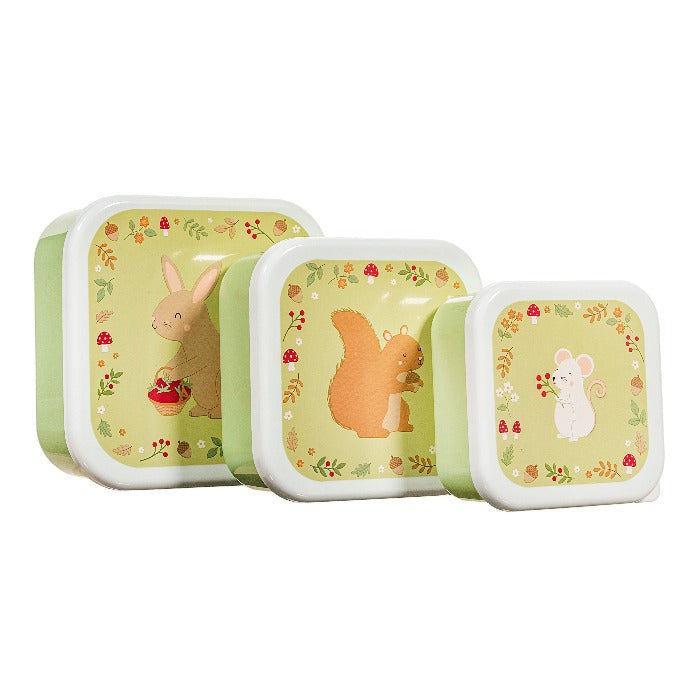 Garden Friends Lunch Boxes - Set of 3