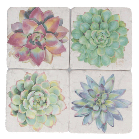 Succulents Coaster (single)
