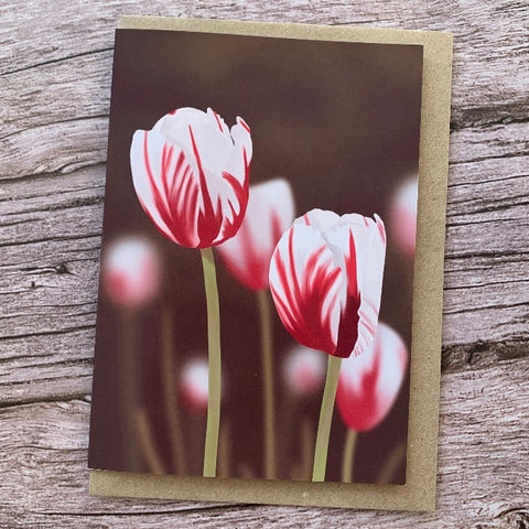 Pear Tree Crafts - Tulip Card