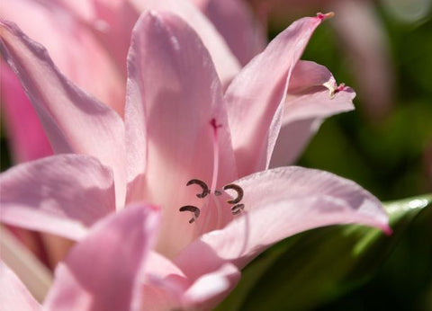 Summer: Photography Workshop with Phil Morley