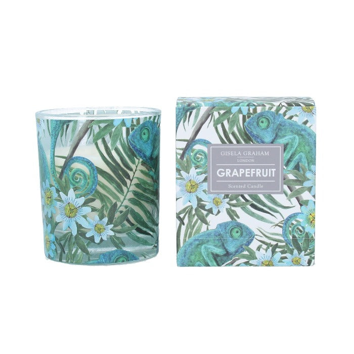 Chameleon - Grapefruit Scented Boxed Candle Pot