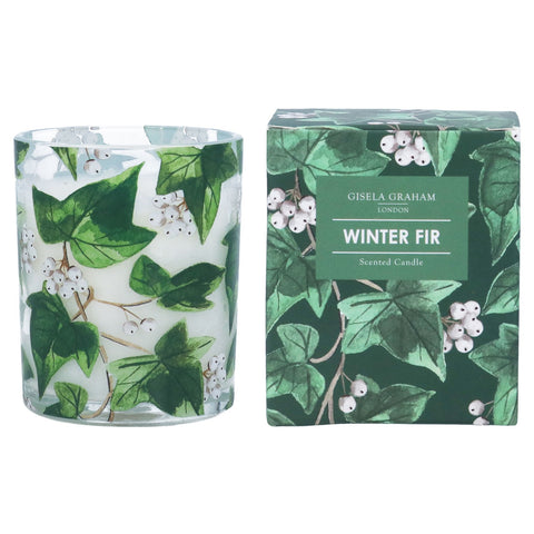 Winter Fir Boxed Candle (Ivy Design)