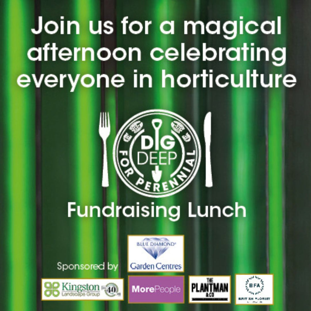Dig Deep for Perennial Fundraising Lunch