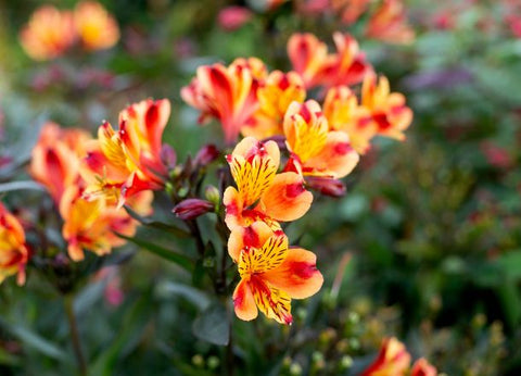 Spring: Photography Workshop with Phil Morley