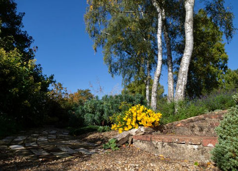 Autumn: Photography Workshop with Phil Morley