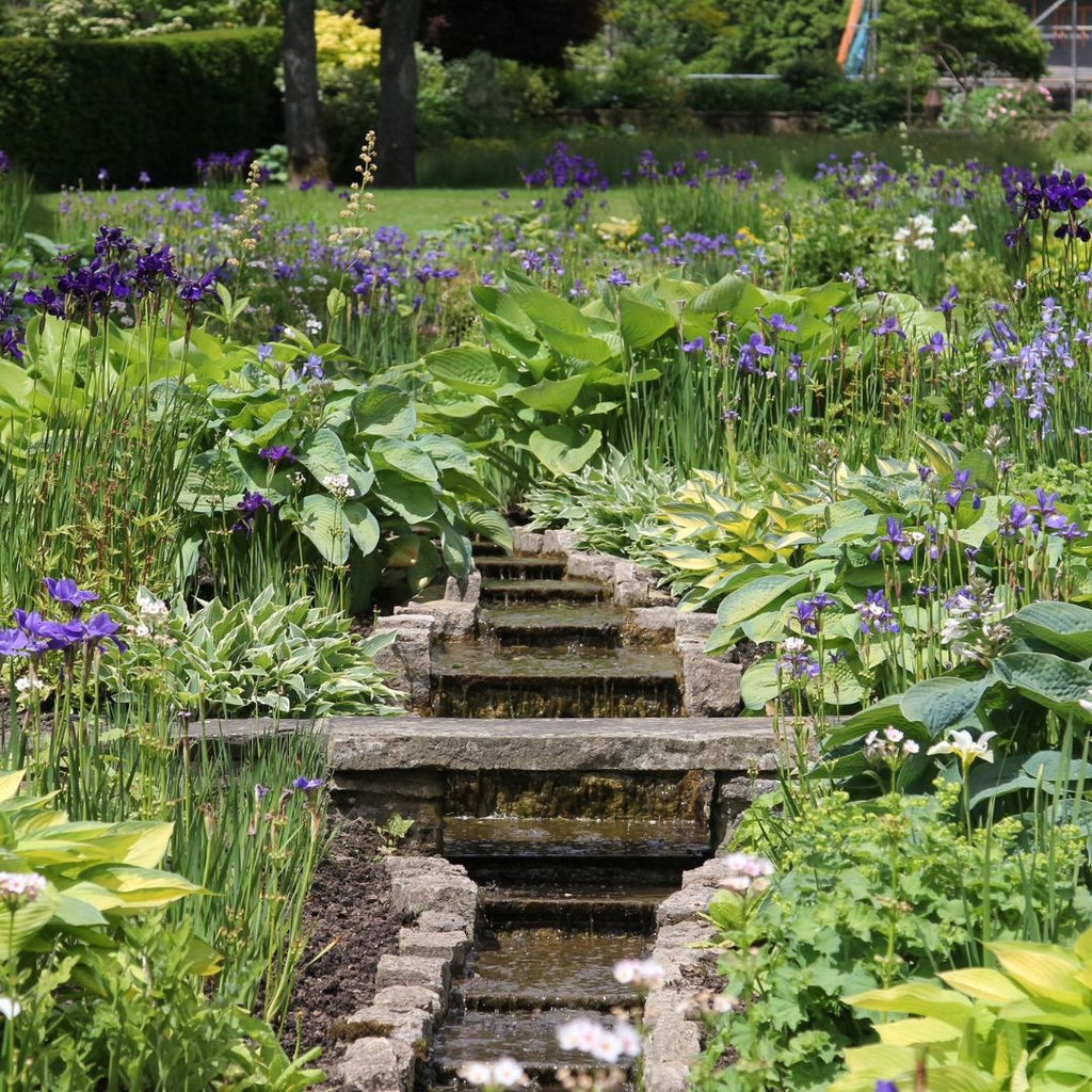 Shalford & Copyhold House and Gardens