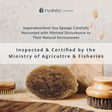 Hydréa London Grass Sea Sponge