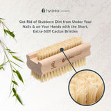 Hydréa London Hand and Nail Brush