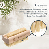 Hydréa London Hand and Nail Brush