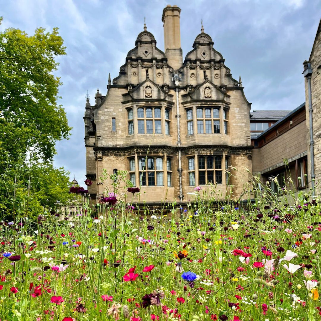 Oxford College Gardens - Trinity & Balliol Colleges