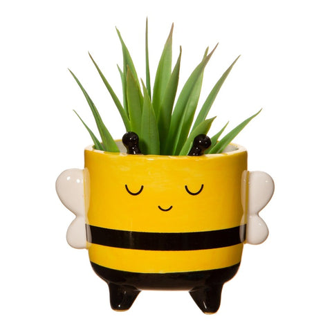 Mini Bee Planter