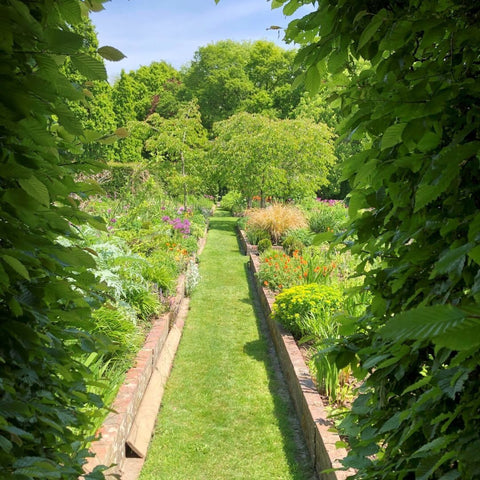 Long Barn Gardens