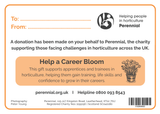 Help a Career Bloom (Alstroemeria Design)