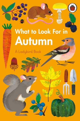 What to Look For in Autumn - A Ladybird Book