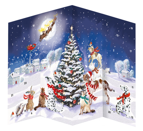 Pop Up Magical Night Advent Calendar