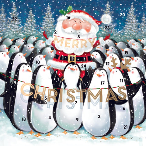 Santa and Friends Advent Calendar
