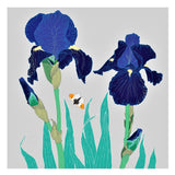Umbellifer Greeting Card Tall Bearded Iris with Orange Tip Butterfly