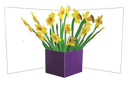 3D Pop up Card - Daffodils