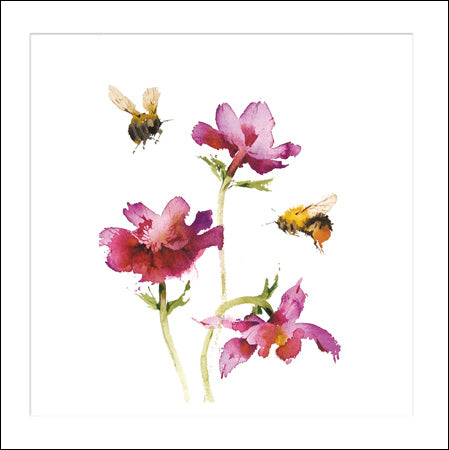 Woodmansterne card Bee and Anemones