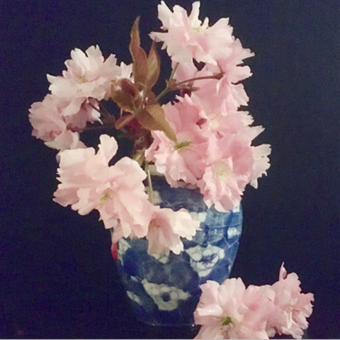 Helensbank Garden Card - Cherry Blossom in an Antique Chinese Crackle Prunus Jar