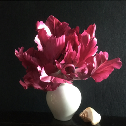 Helensbank Garden Card - Flame Parrot Tulips in an Antique German Porcelain Vase