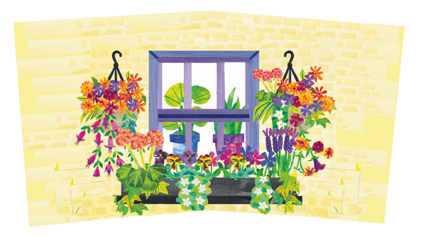 3D Pop up Card - Window Box – Perennial GRBS