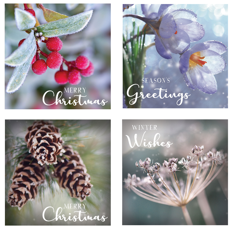 Christmas Cards Pack of 20 - Floral Christmas