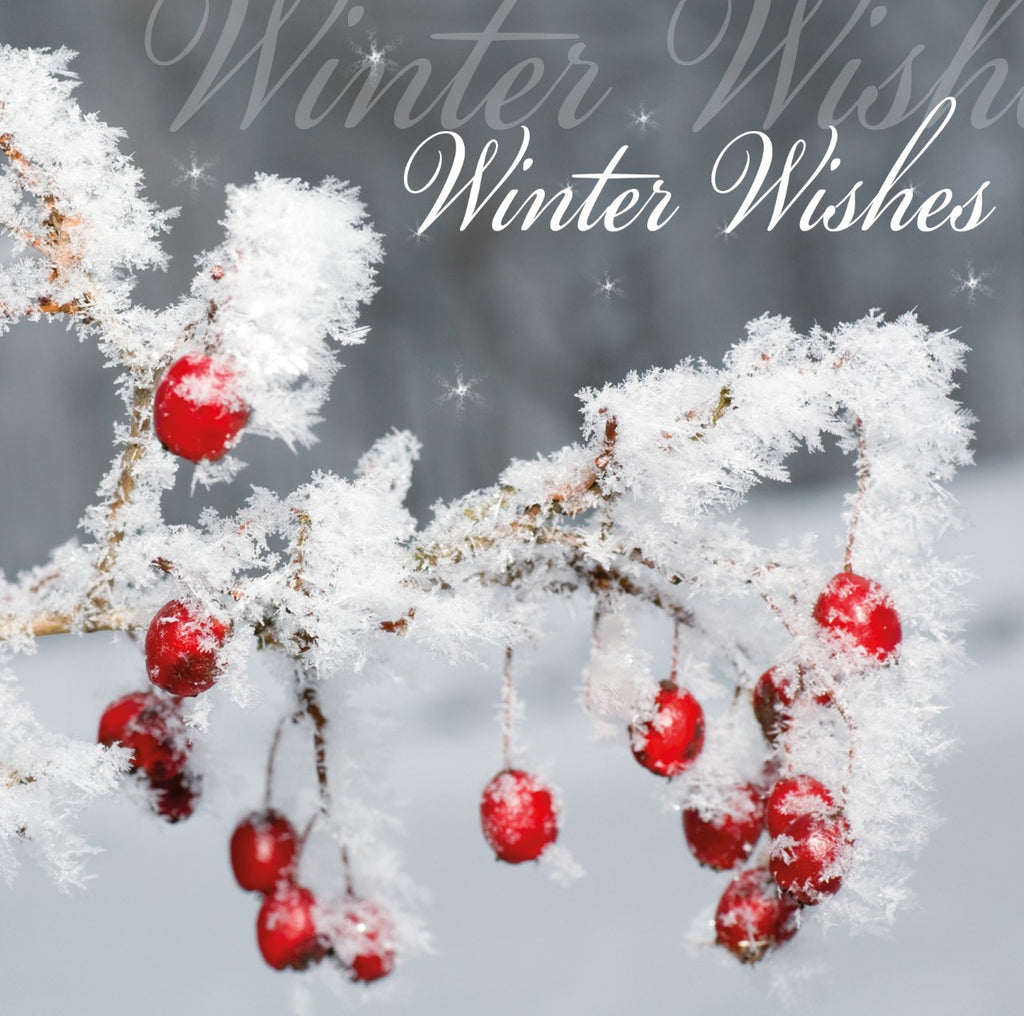 Single Christmas Card -  Winter Wishes