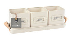 Burgon & Ball Indoor Pot - Cream Herb Set