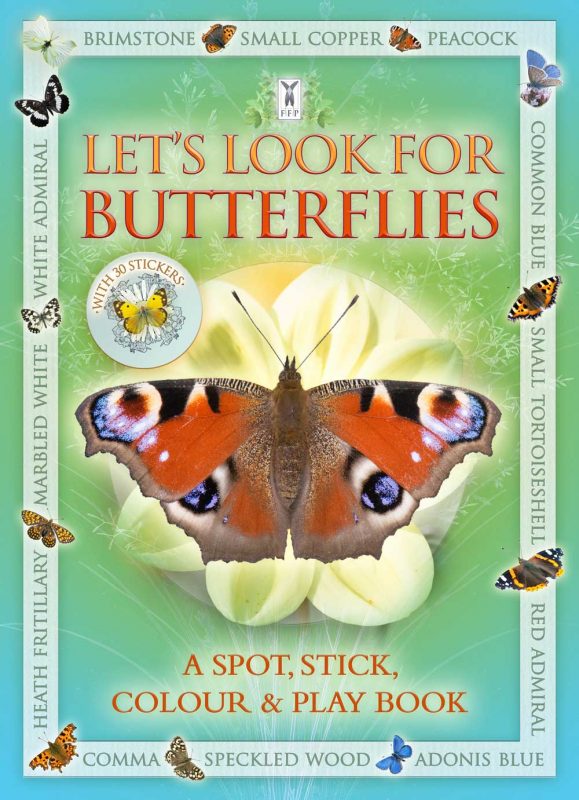 Let's Look For Butterflies - Activity Book