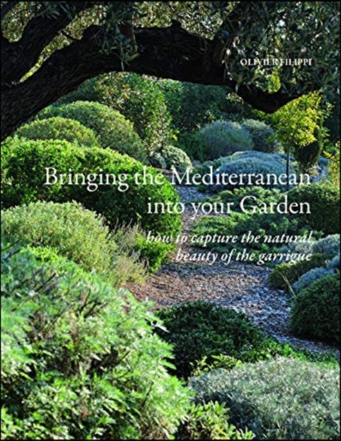 Bringing The Mediterranean Into Your Garden By Olivier Filippi