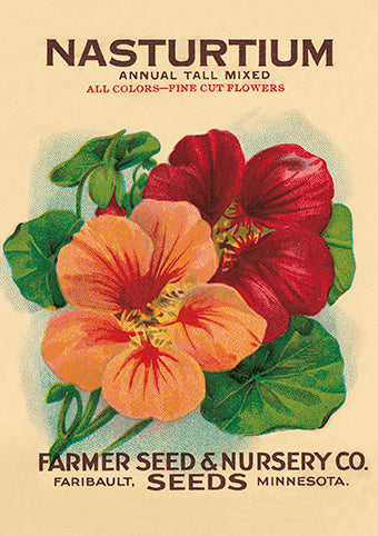 The Art Press Greeting Card - Nasturtium