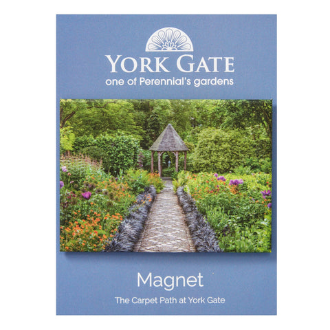 Magnet - The Carpet Path York Gate