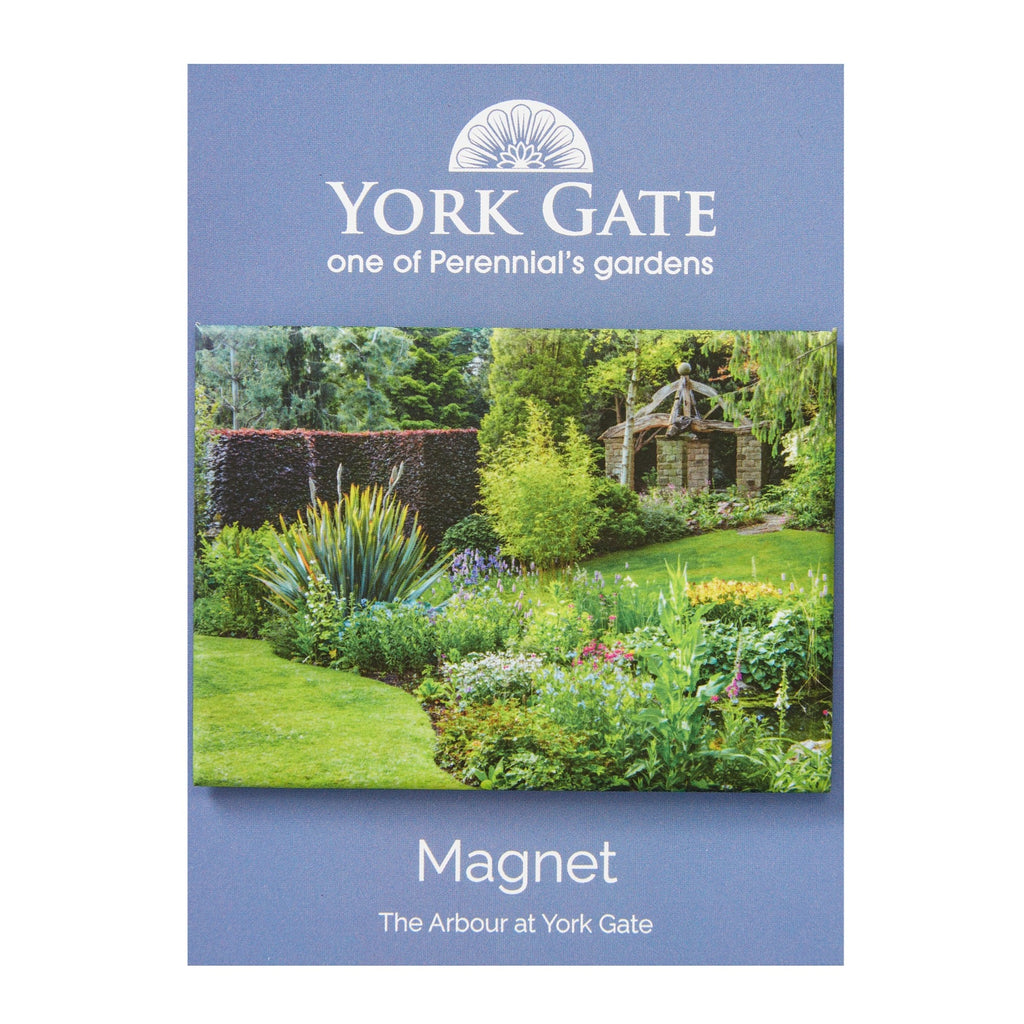 Magnet - The Arbour York Gate