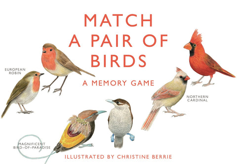 Match a Pair of Birds Game