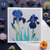 Umbellifer Greeting Card Tall Bearded Iris with Orange Tip Butterfly