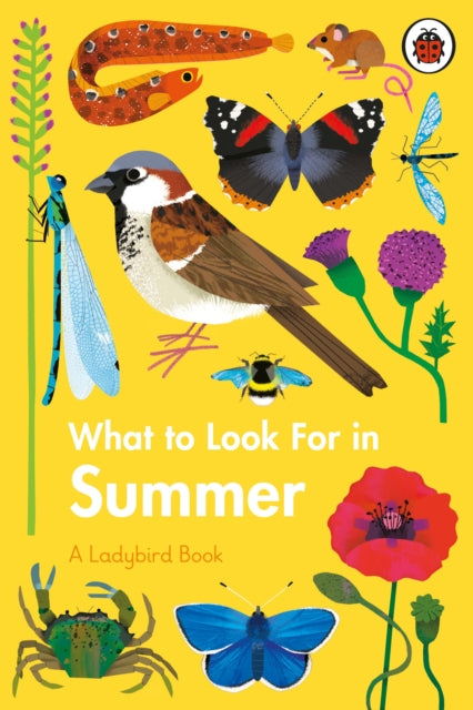 Book What to Look For in Summer - A Ladybird Book